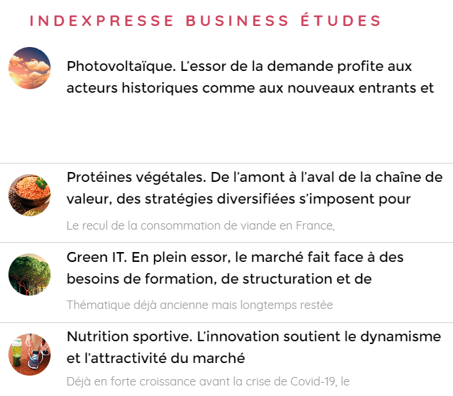 capture_delphes_indexpresse_business_etudes2.png