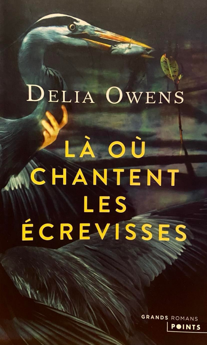 la-ou-chantent-les-ecrevisses-5022077.jpg