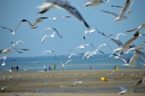 La plage